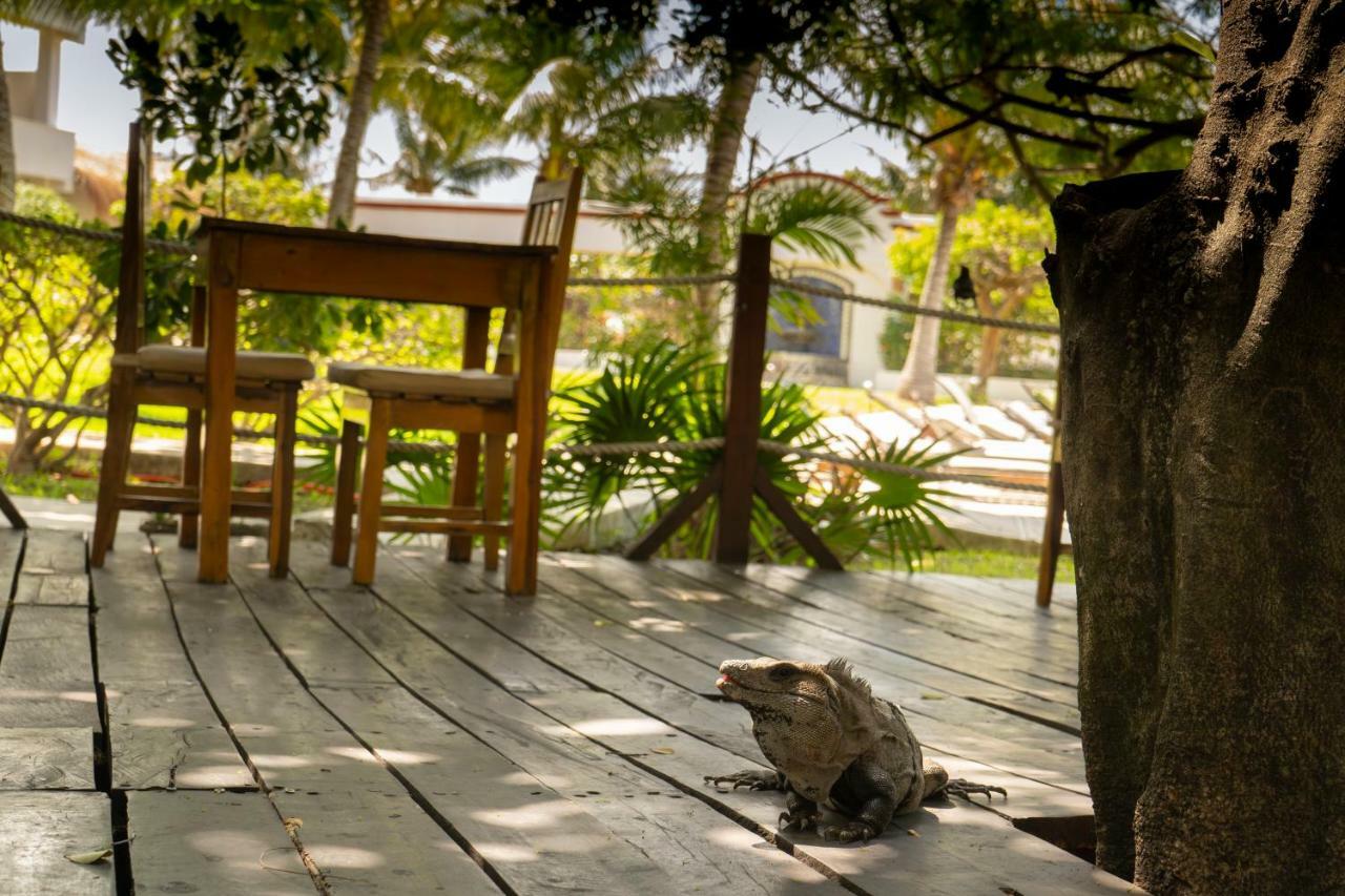 Marina Paraiso Isla Mujeres Hotel Kültér fotó